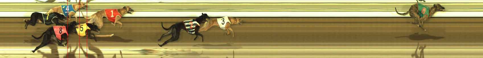 Race result finish photo
